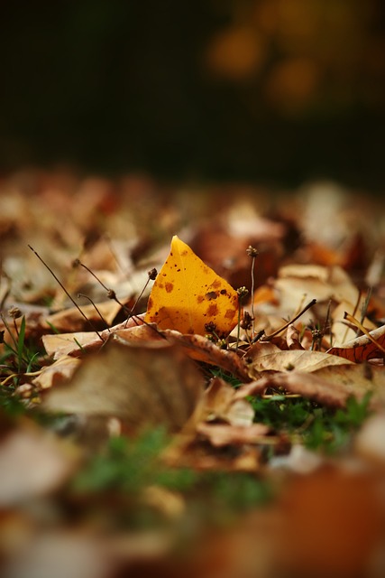 赛的分析可 赛的分析可
