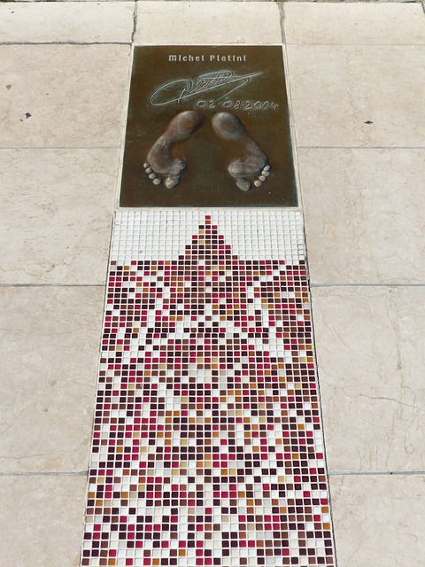 下面将为您 下面将为您