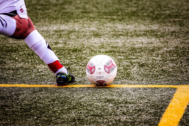 多库在回顾 多库在回顾