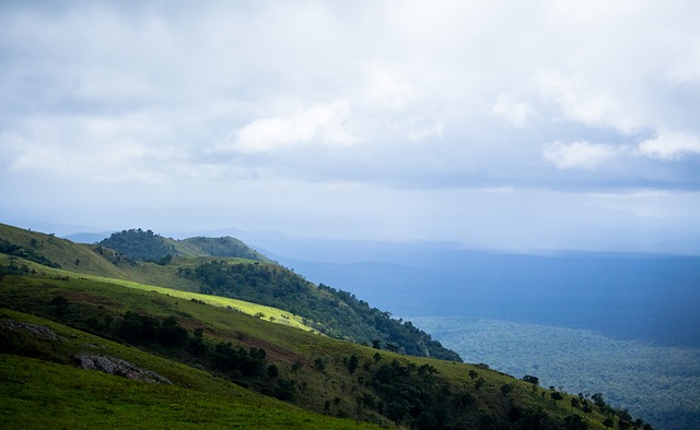 場上的表現 場上的表現