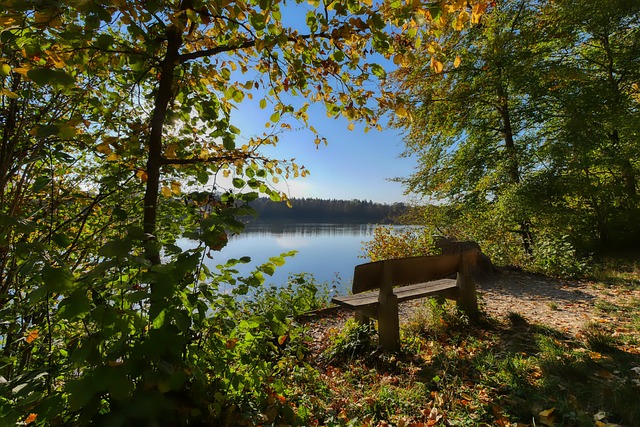 的阵容深度 的阵容深度