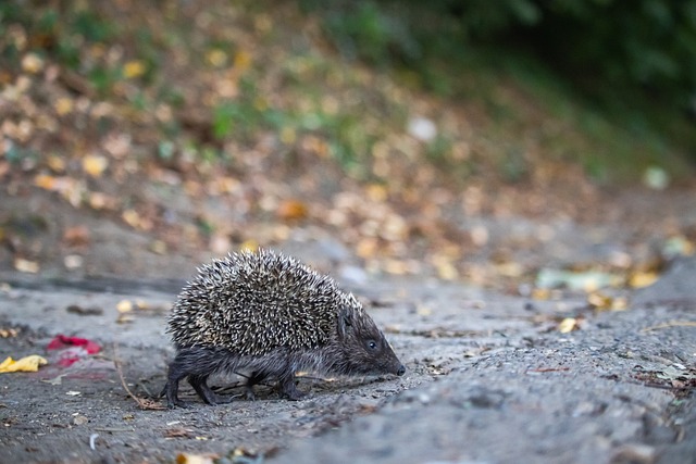 工业和信息 工业和信息
