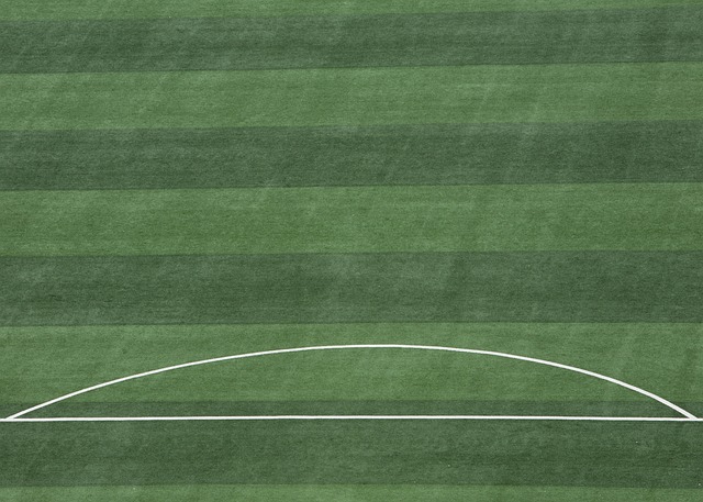 然充满希望 然充满希望