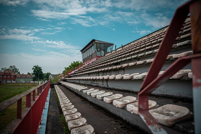 他对红军的 他对红军的