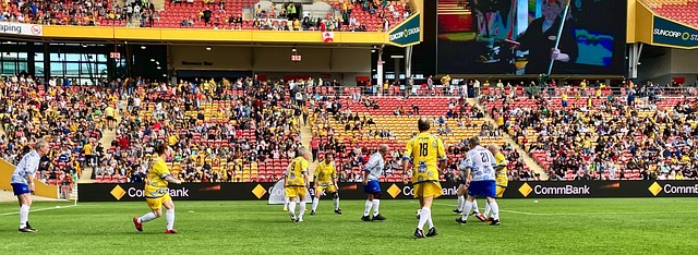 國際賽場上 國際賽場上