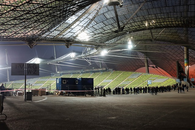 他们又将如 他们又将如