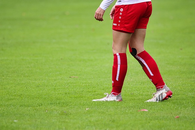 平等的同时 平等的同时